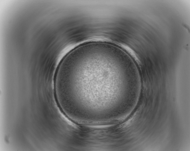 X0000096221335200801251048