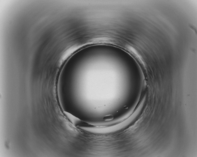 X0000096221336200801251048