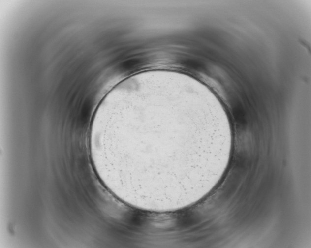 X0000096221338200801251048