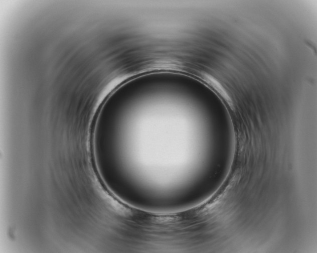 X0000096221339200801251048