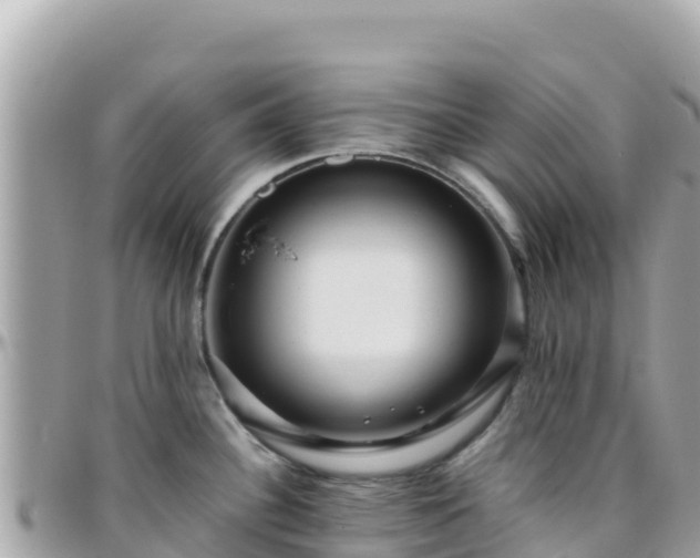 X0000096221340200801251048