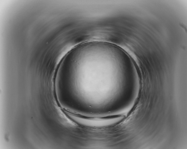 X0000096221341200801251048