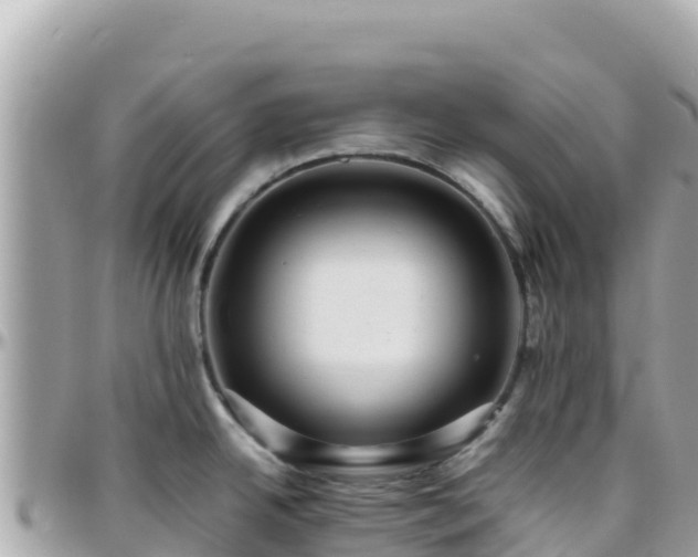 X0000096221342200801251048