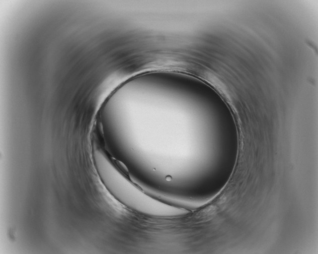 X0000096221344200801251048