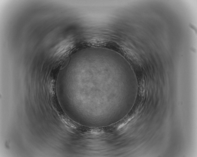 X0000096221346200801251048