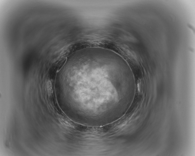 X0000096221347200801251048