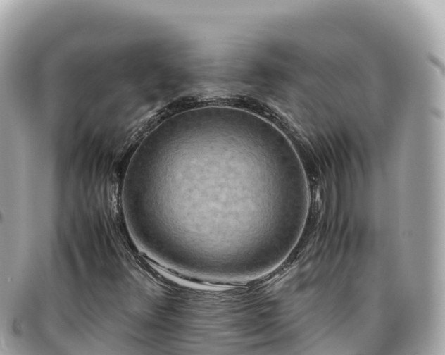 X0000096221348200801251048