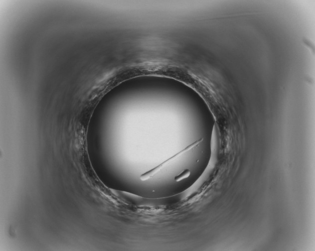 X0000096221349200801251047