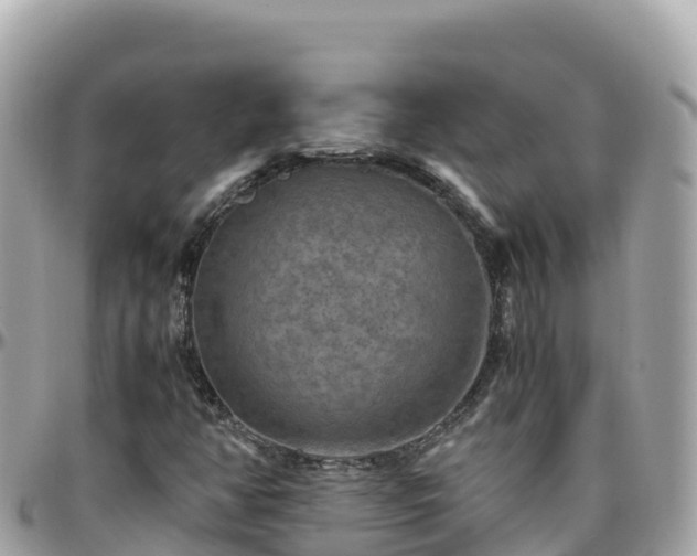 X0000096221350200801251047