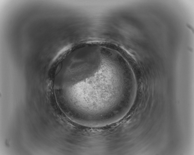 X0000096221351200801251047