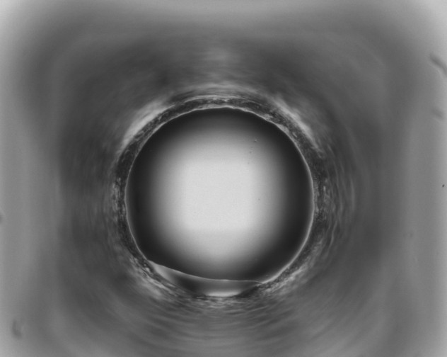 X0000096221352200801251047