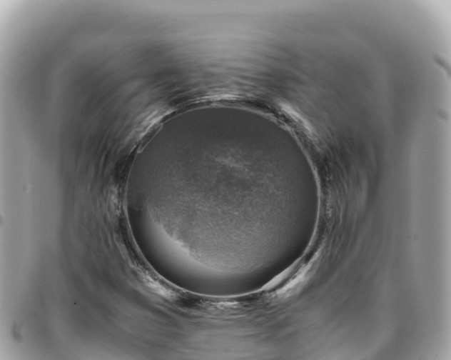 X0000096221353200801251047