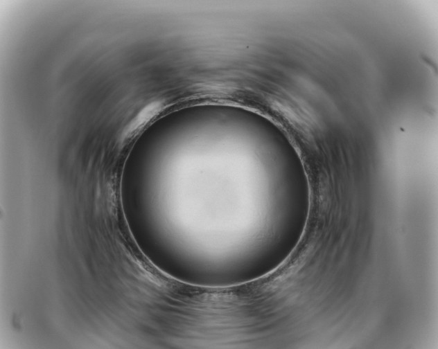 X0000096221354200801251047