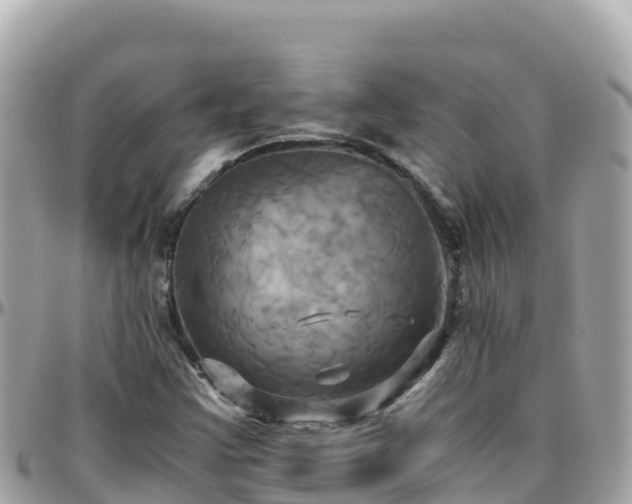 X0000096221355200801251047