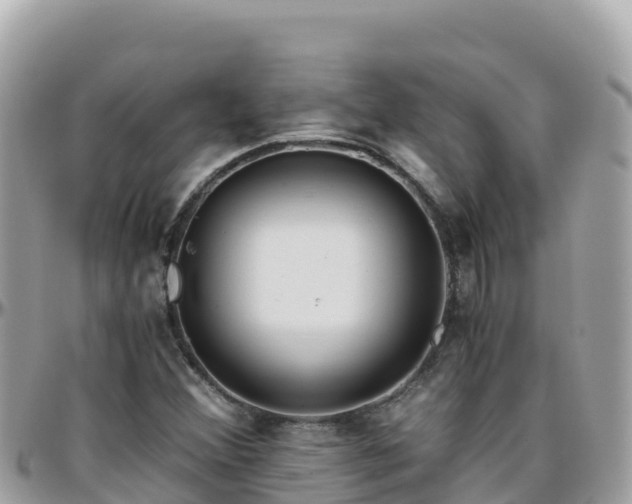 X0000096221356200801251047