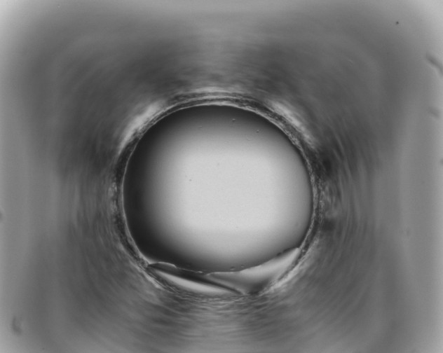 X0000096221357200801251047