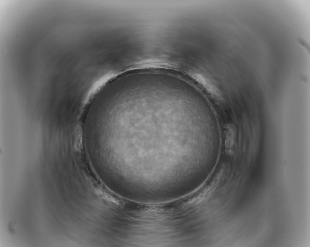 X0000096221358200801251047