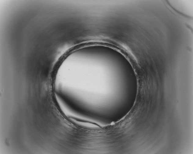 X0000096221360200801251047