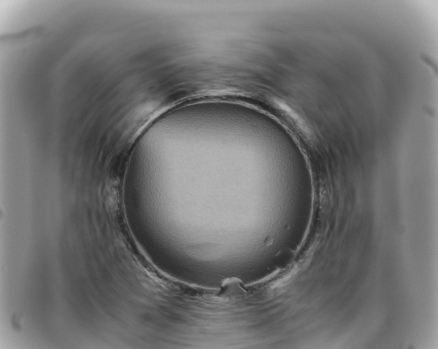 X0000096221361200801251047