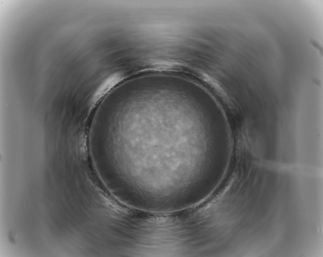 X0000096221362200801251047