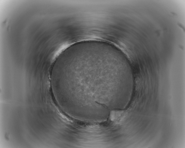 X0000096221363200801251047