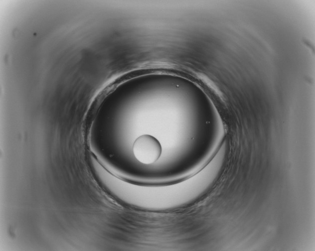 X0000096221364200801251047