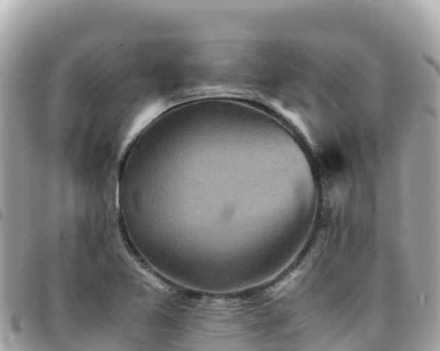 X0000096221365200801251047