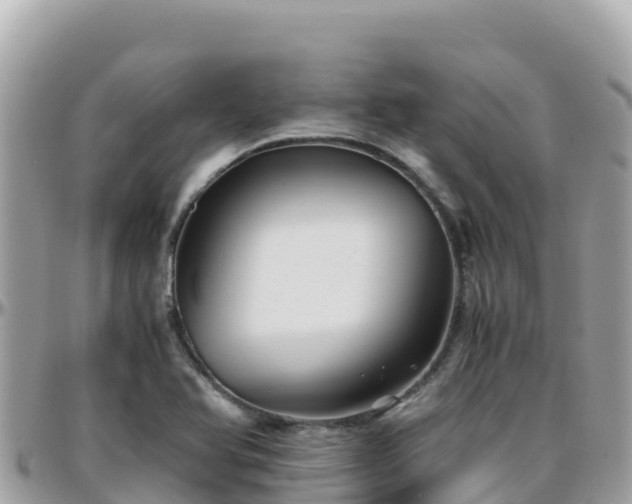 X0000096221366200801251047