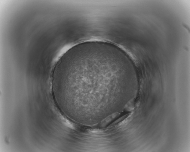 X0000096221367200801251047