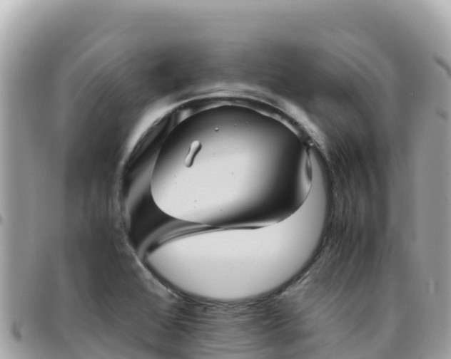 X0000096221368200801251047