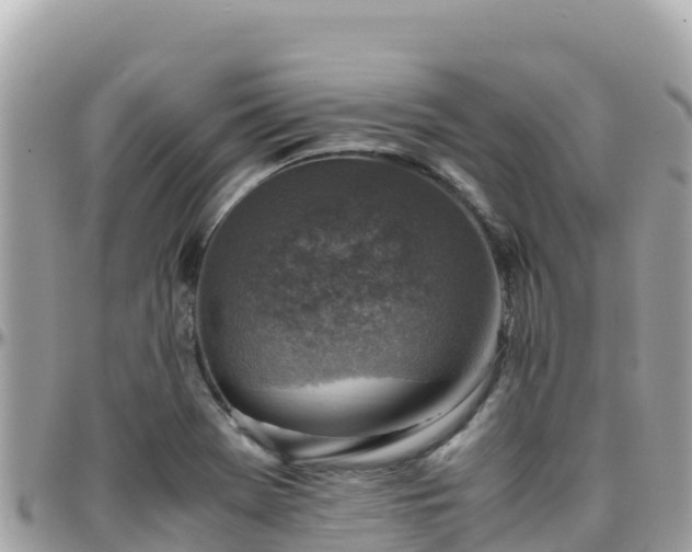 X0000096221369200801251047