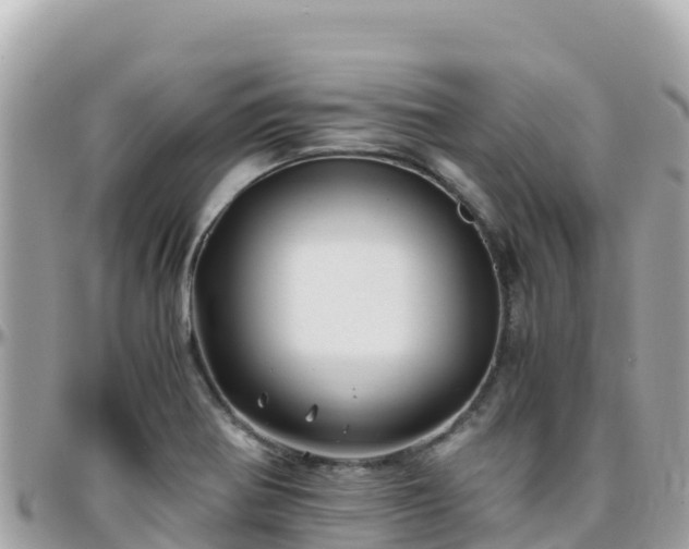 X0000096221370200801251047