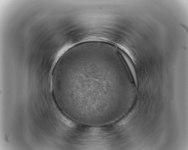 X0000096221371200801251047