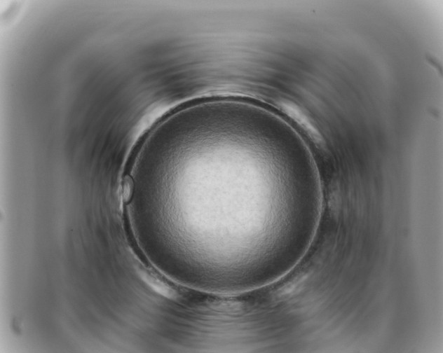 X0000096221372200801251047