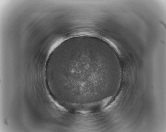 X0000096221373200801251047