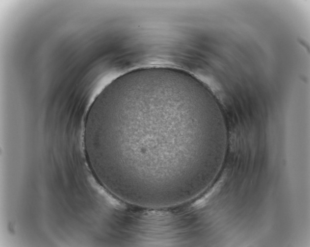 X0000096221374200801251047