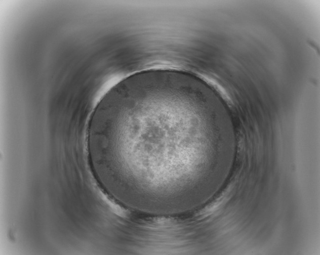 X0000096221375200801251047