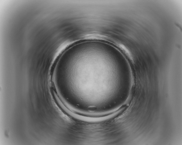 X0000096221376200801251047