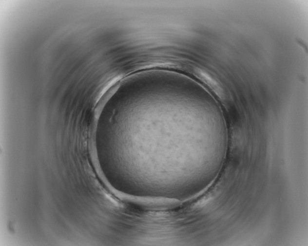 X0000096221377200801251047