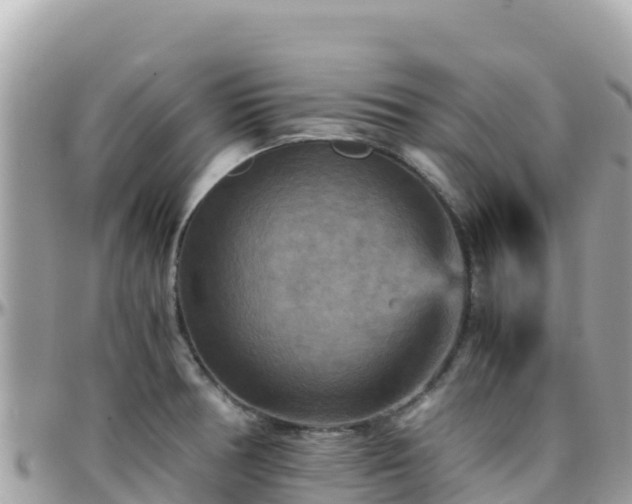 X0000096221378200801251047