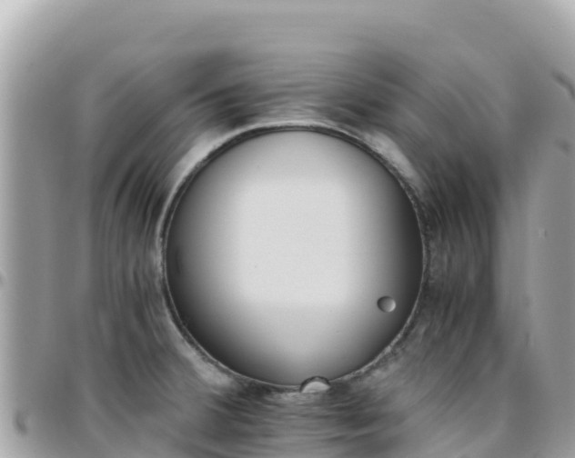 X0000096221380200801251047