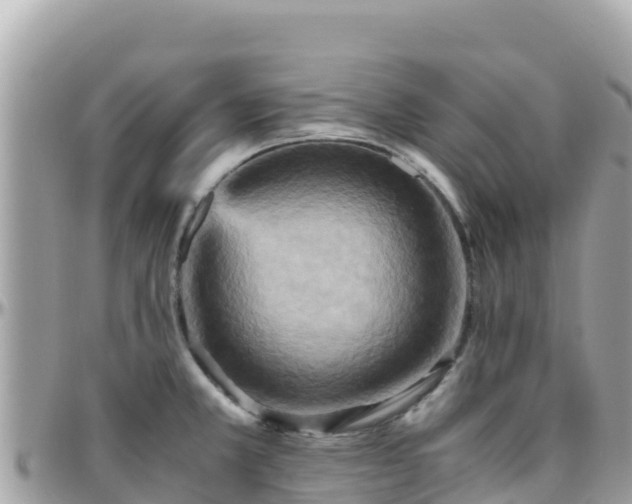 X0000096221381200801251047