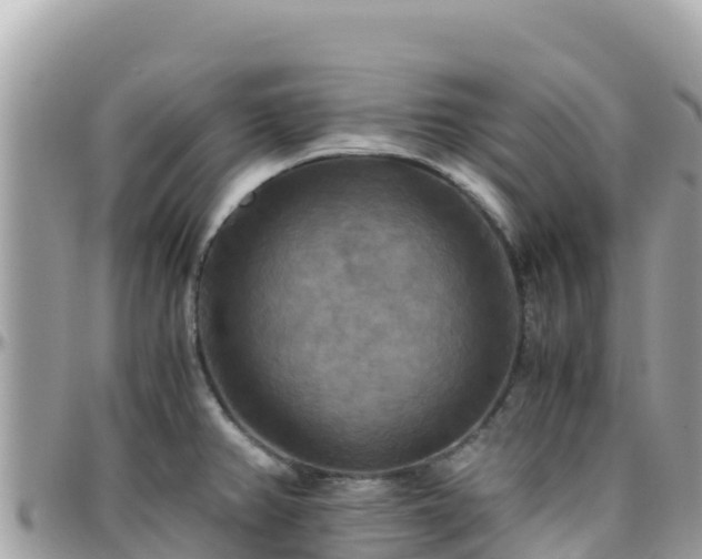 X0000096221382200801251047