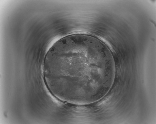 X0000096221383200801251047