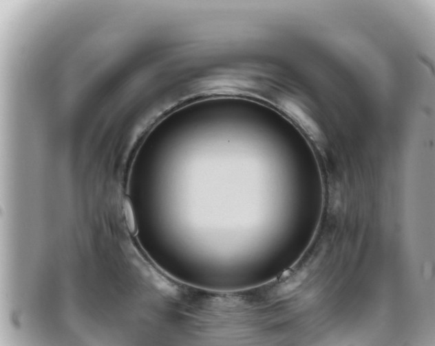 X0000096221384200801251047