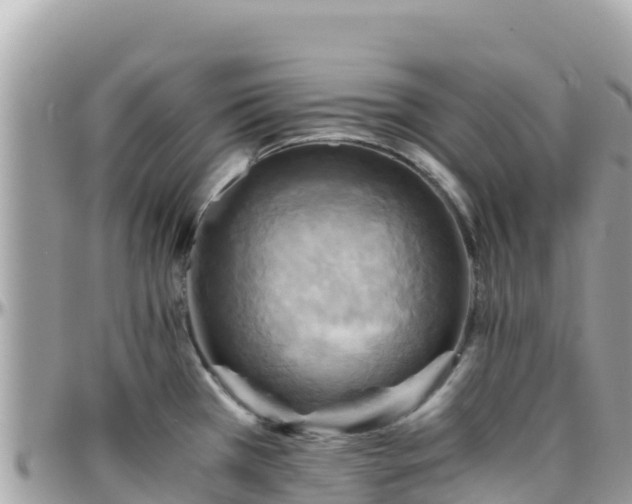 X0000096221385200801251047