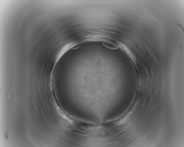 X0000096221386200801251047