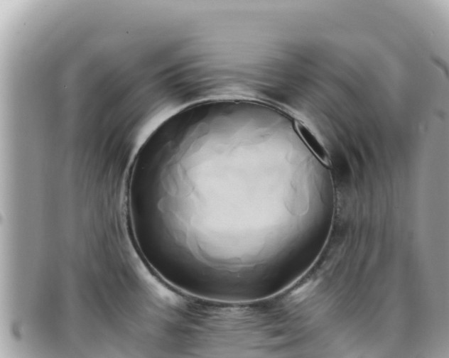 X0000096221387200801251047