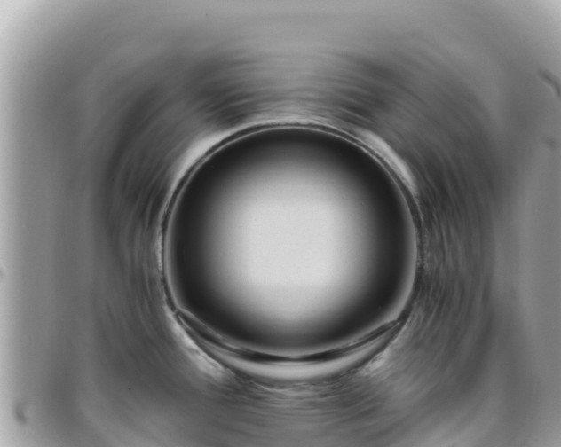 X0000096221388200801251047