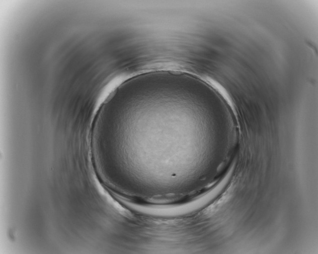 X0000096221389200801251047